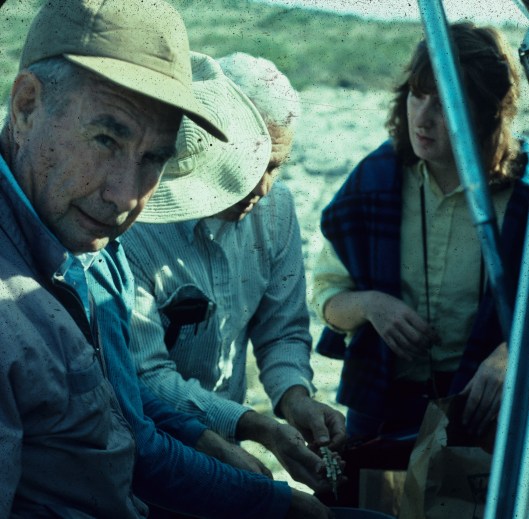 Lynn Lowrey Profile 1.jpg